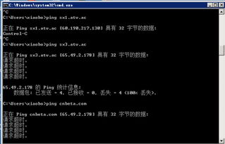 2014年中國互聯網DNS大故障 根域名服務器故障的成因與影響